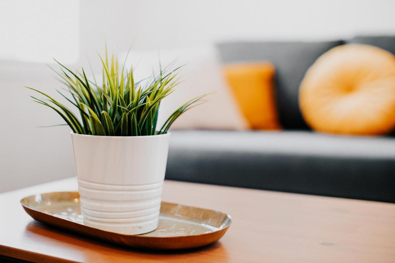 Appartement Cosy Avec Place De Parking Prive Toulouse Buitenkant foto